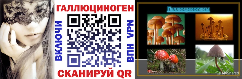 мега вход Константиновск площадка наркотические препараты Галлюциногенные грибы GOLDEN TEACHER